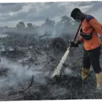 5 Kasus Kebakaran dan Penyelundupan yang Menggemparkan di Indonesia