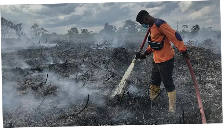 5 Kasus Kebakaran dan Penyelundupan yang Menggemparkan di Indonesia
