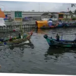 Aksi Musnahkan Ikan Sapu-Sapu Digelar Serentak di 5 Titik Jakarta