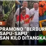 Aksi Pemusnahan Ikan Sapu-Sapu di Jakarta Barat, Wali Kota Beri Uang ke Partisipan