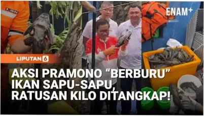 Aksi Pemusnahan Ikan Sapu-Sapu di Jakarta Barat, Wali Kota Beri Uang ke Partisipan