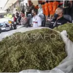 Apartemen di Jakpus Jadi Lab Tembakau Sintesis, Satu Pelaku Ditangkap