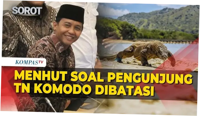 Berita Hari Ini: Pembatasan Wisatawan di Taman Nasional Komodo dan Berbagai Informasi Terkini