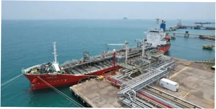 CDIA: Strategi Perkuatan Logistik dan Investasi di Tengah Tantangan Ekonomi