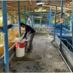 Hadapi Musim Kemarau Panjang, Sudin KPKP Jakbar Minta Kelompok Tani Beri Tahu Kendala