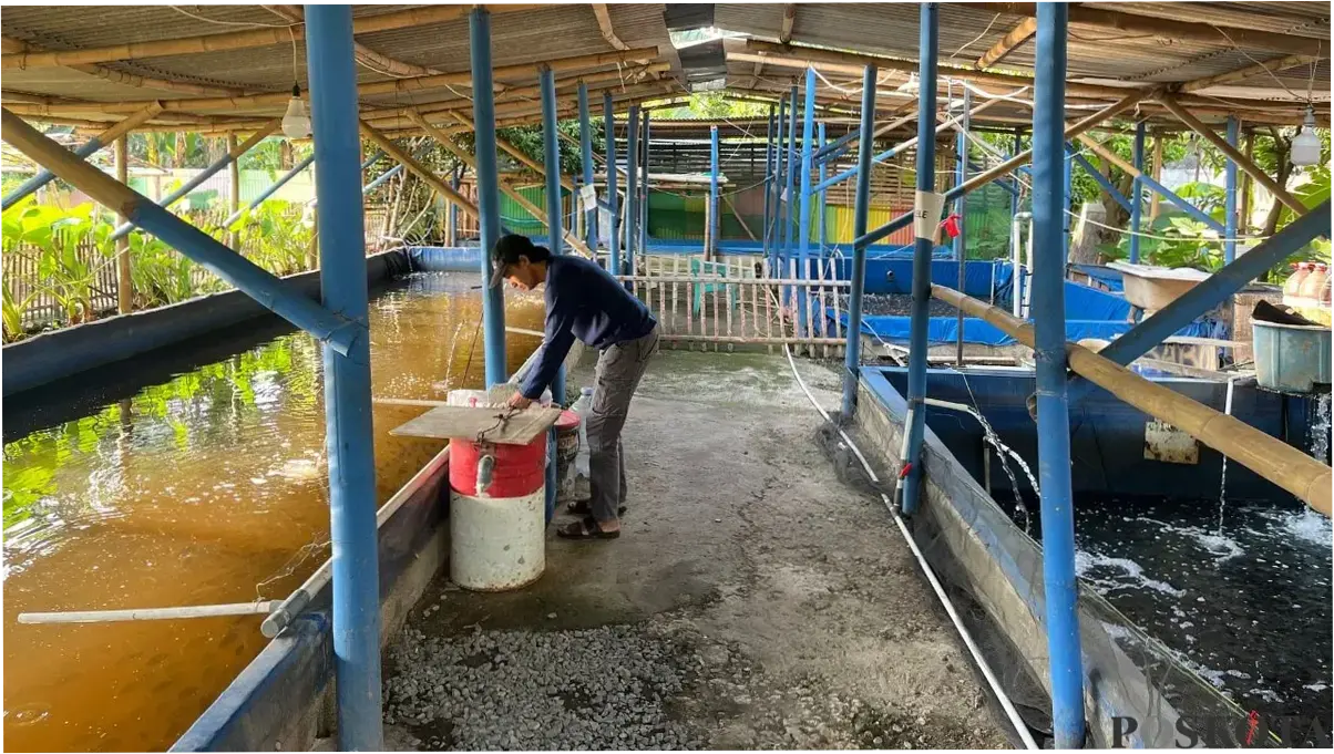 Hadapi Musim Kemarau Panjang, Sudin KPKP Jakbar Minta Kelompok Tani Beri Tahu Kendala