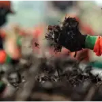 Harga Bertambah Mahal, Omzet Pedagang Pupuk di Jakbar Justru Berkurang