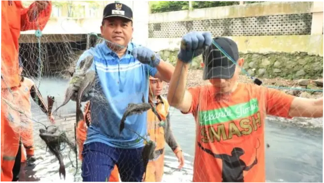 Operasi Ikan Sapu-Sapu di Jakarta, 6,98 Ton Ekor Ditangkap