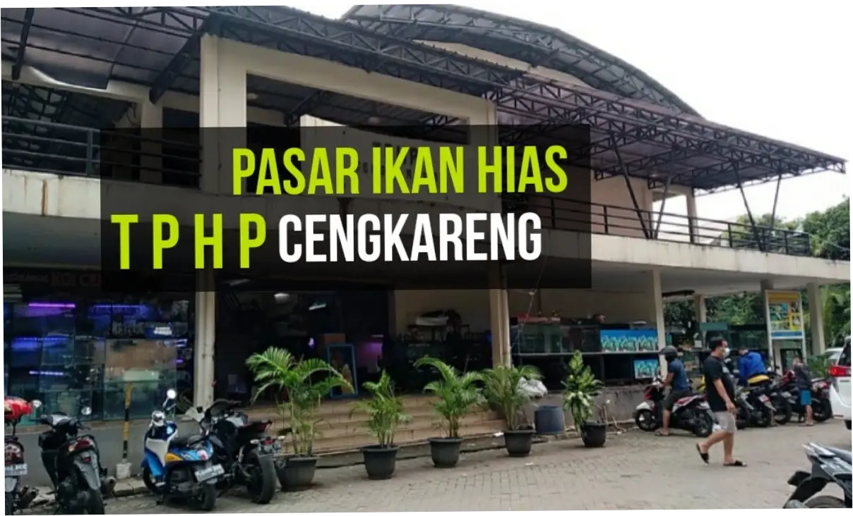 Pasar Ikan Hias TPHP Cengkareng Sepi Pengunjung, Dinas KPKP DKI Upayakan Omzet Pedagang Meningkat