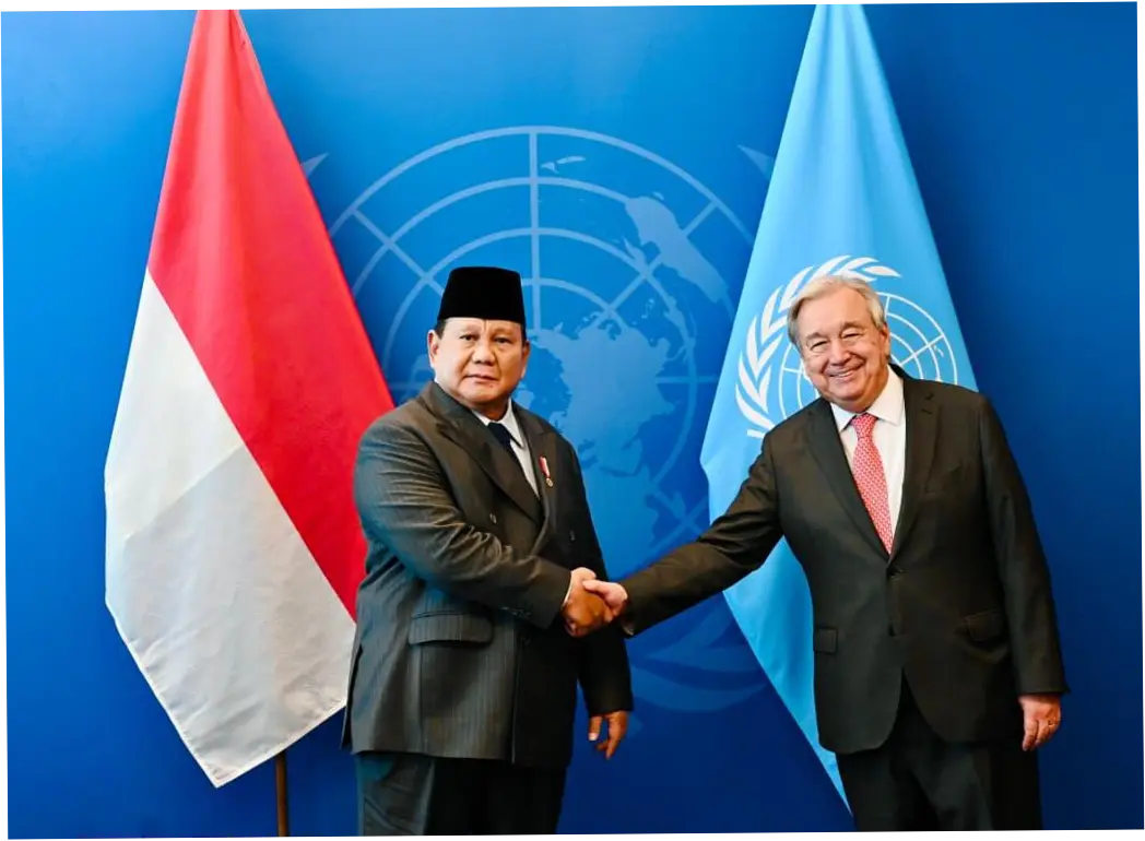 PBB dan Indonesia: Kerja Sama untuk Misi Perdamaian Dunia