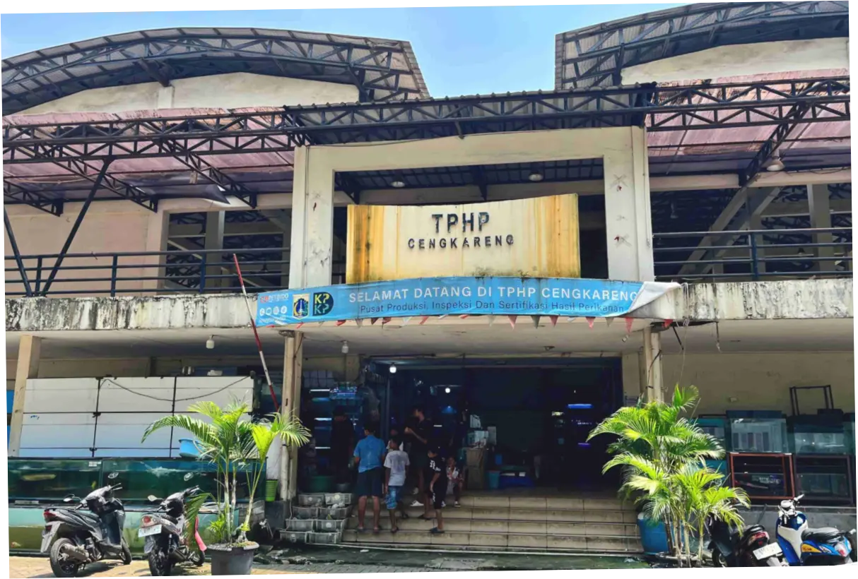 Pedagang Ikan Hias TPHP Cengkareng Keluhkan Sepi Pengunjung dan Omzet Menurun