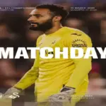 Pertandingan Seru: Swansea City Hadapi Southampton di Liga Inggris