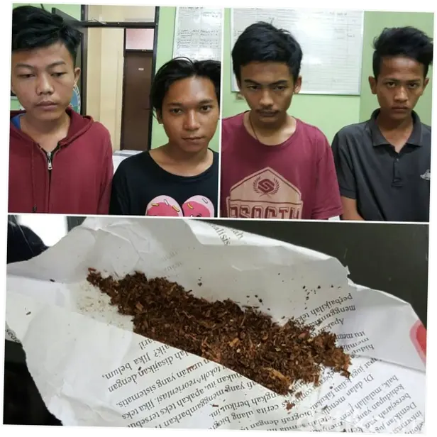 Polisi Tangkap 3 Pengedar Tembakau Sintetis di Serang, 80 Paket Siap Edar Disita