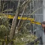 Polisi Telusuri Temuan Sepeda Listrik dalam Kebakaran Maut di Rumah Jakbar