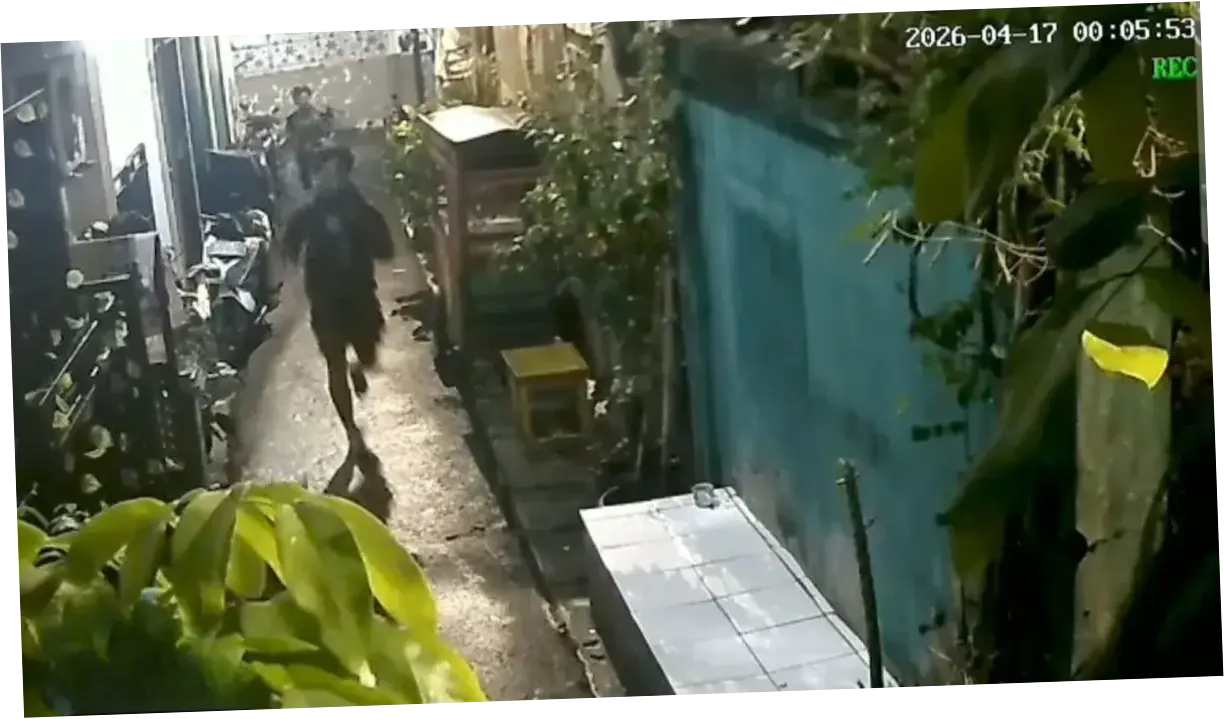 Terduga Pencuri Motor Tewas Diamuk Massa di Kebayoran Lama