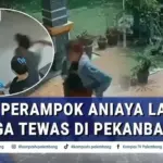 Empat Perampok Terekam CCTV Aniaya Nenek hingga Tewas, Polisi Selidiki