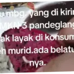 Menu MBG di Labuan Dihinggapi Belatung, Satgas Pandeglang Ambil Tindakan Tegas