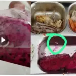 Menu MBG di Pandeglang Diduga Terpapar Belatung