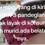 Menu MBG Diduga Terpapar Belatung, Satgas MBG Pandeglang Ngaku Sudah Turun Tangan