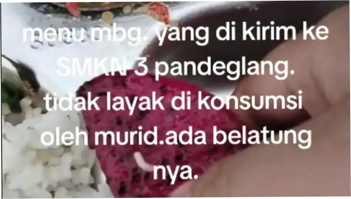 Menu MBG Diduga Terpapar Belatung, Satgas MBG Pandeglang Ngaku Sudah Turun Tangan