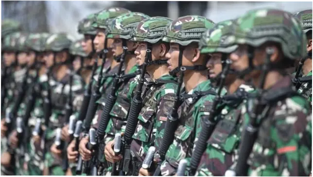 Tentara Nasional Indonesia: Peran dan Pengembangan