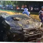 Tragedi Pohon Tumbang di Jalan Tegar Beriman: Pengendara Tewas dan Warga Desak Pemkab Bogor Bebenah