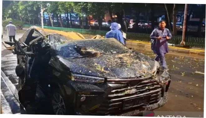 Tragedi Pohon Tumbang di Jalan Tegar Beriman: Pengendara Tewas dan Warga Desak Pemkab Bogor Bebenah